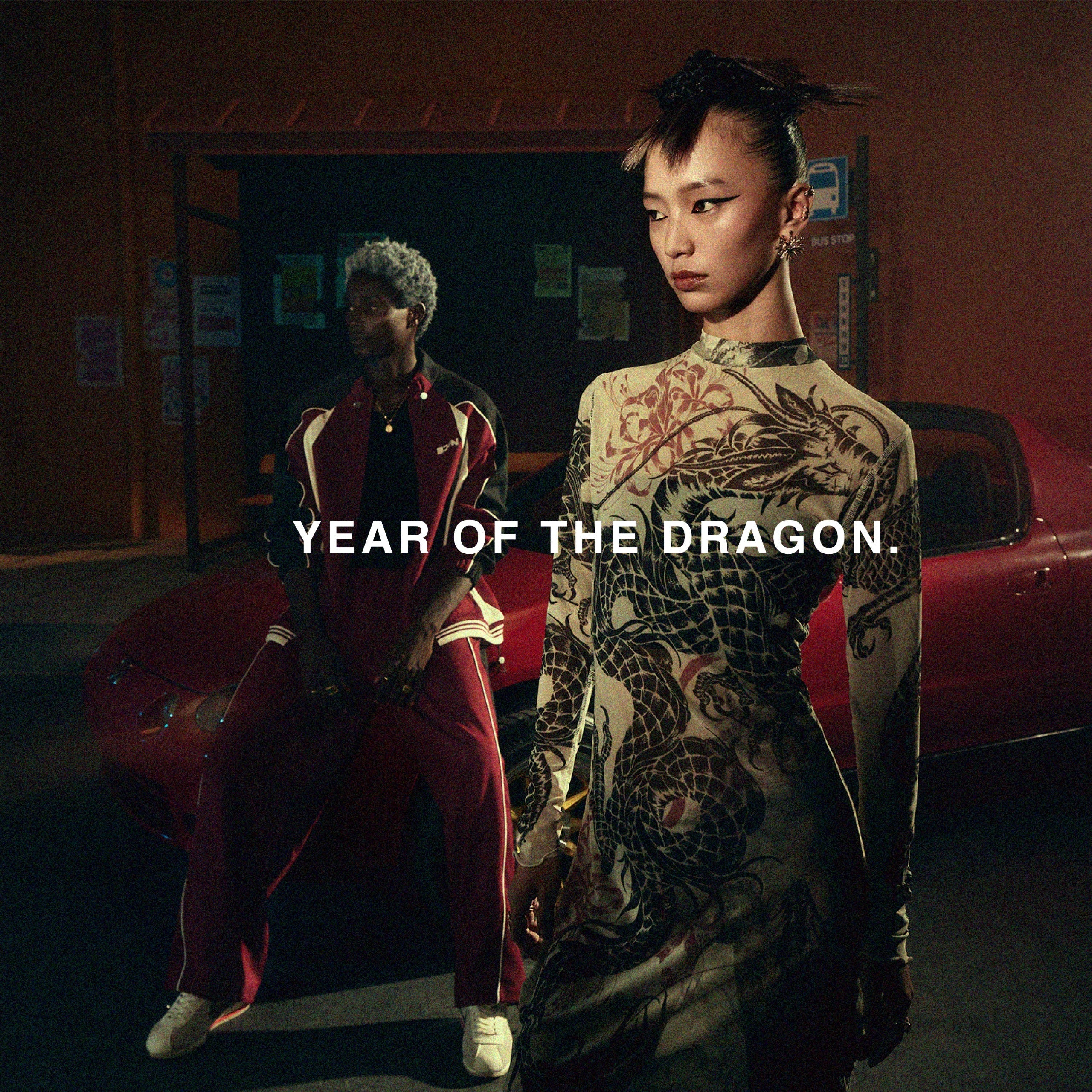 Year of Dragon
